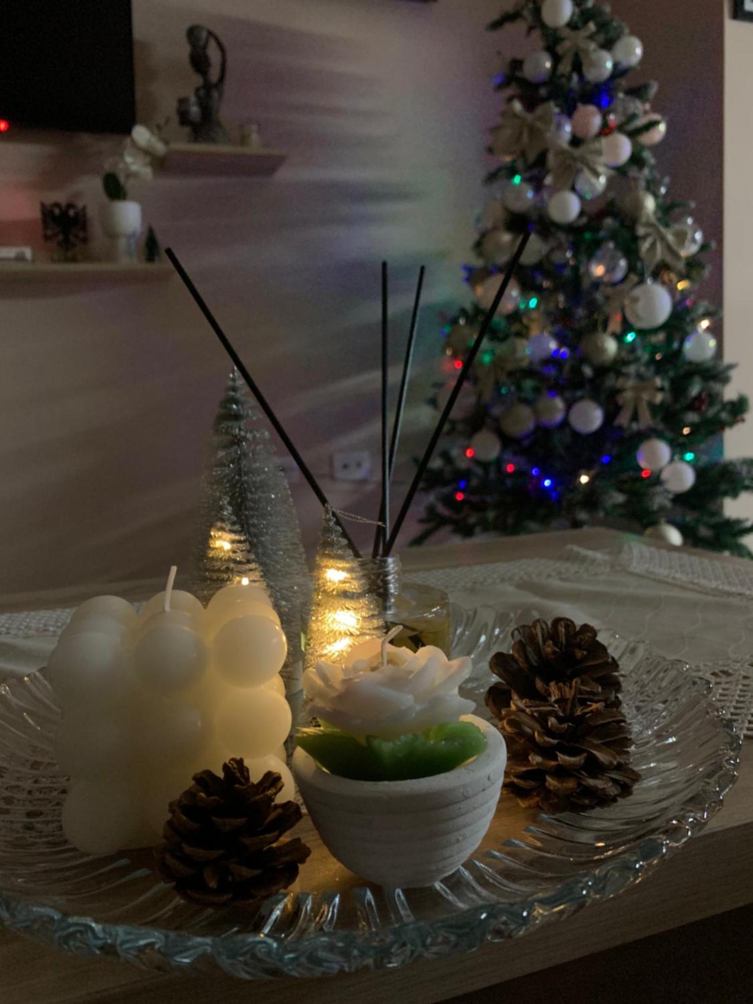 Ridi's Comfort Szkodra