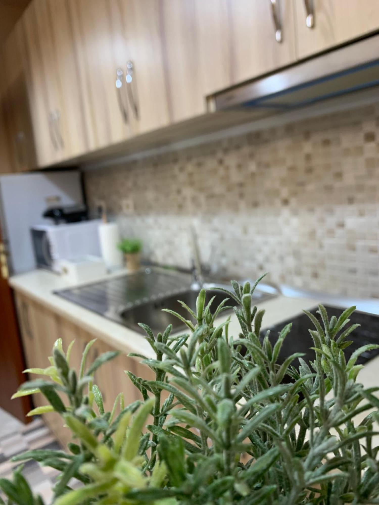 Apartament Ridi's Comfort